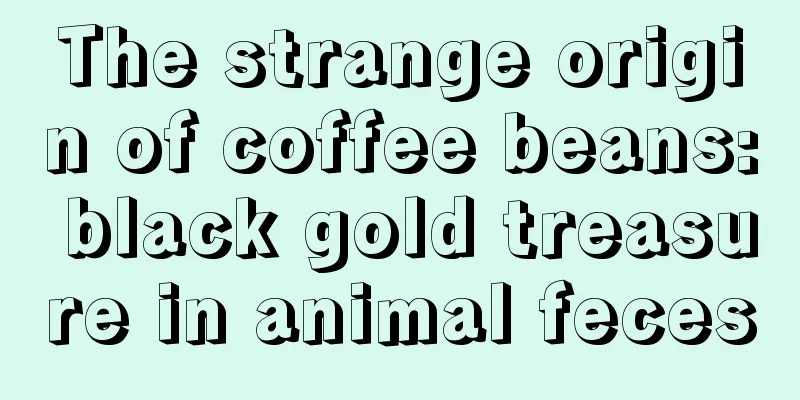 The strange origin of coffee beans: black gold treasure in animal feces