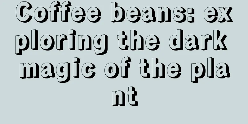 Coffee beans: exploring the dark magic of the plant