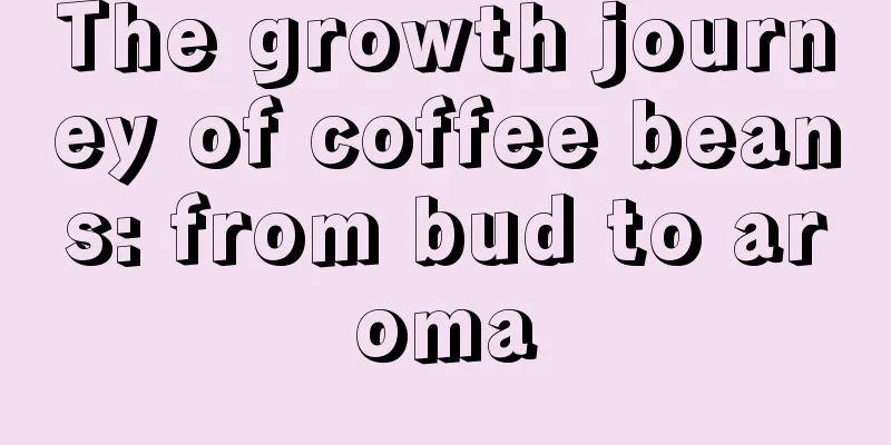 The growth journey of coffee beans: from bud to aroma