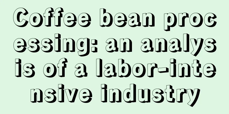 Coffee bean processing: an analysis of a labor-intensive industry