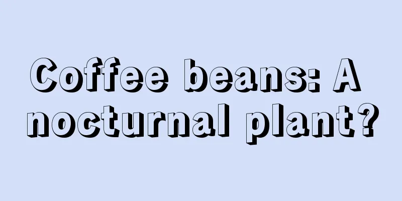 Coffee beans: A nocturnal plant?