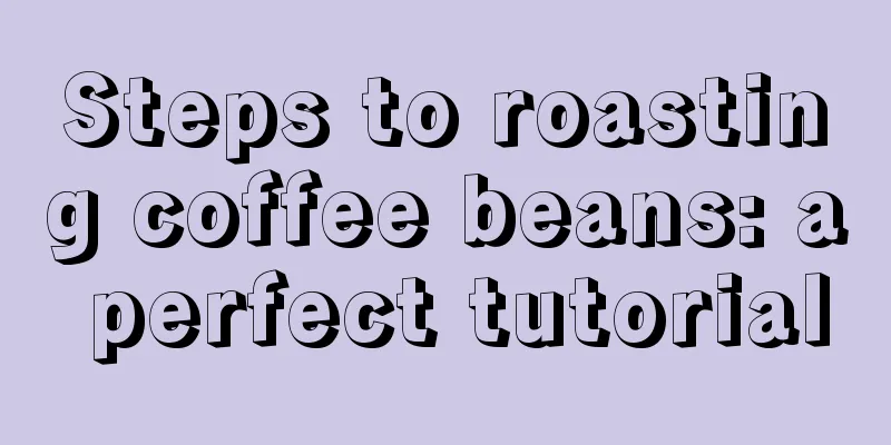 Steps to roasting coffee beans: a perfect tutorial