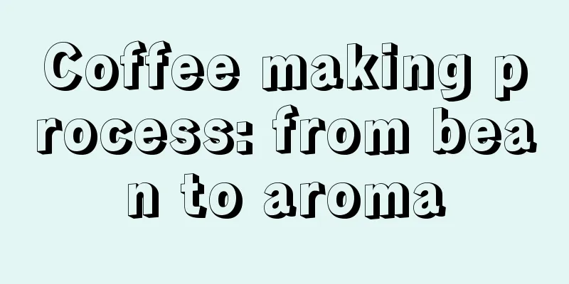 Coffee making process: from bean to aroma