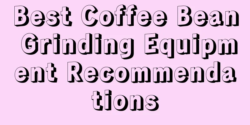 Best Coffee Bean Grinding Equipment Recommendations