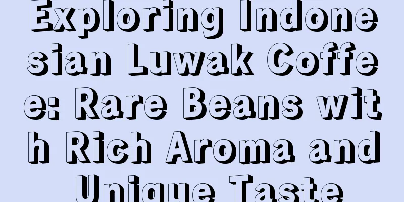 Exploring Indonesian Luwak Coffee: Rare Beans with Rich Aroma and Unique Taste