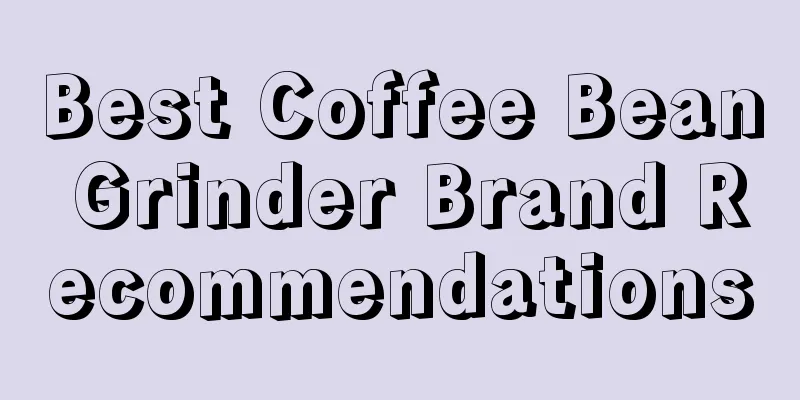 Best Coffee Bean Grinder Brand Recommendations