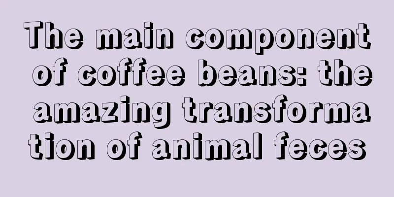 The main component of coffee beans: the amazing transformation of animal feces