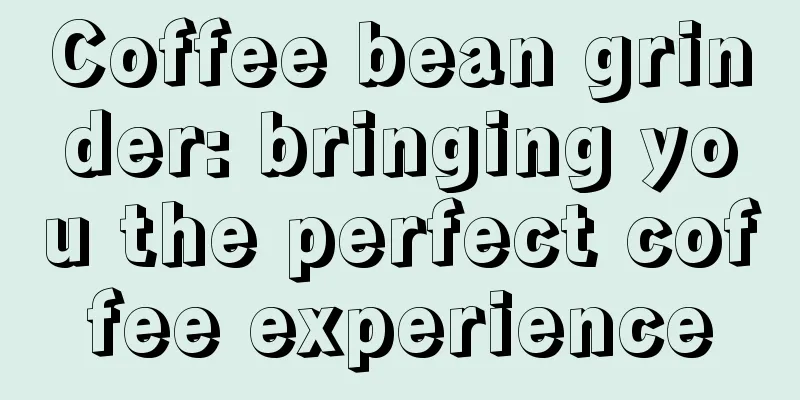 Coffee bean grinder: bringing you the perfect coffee experience