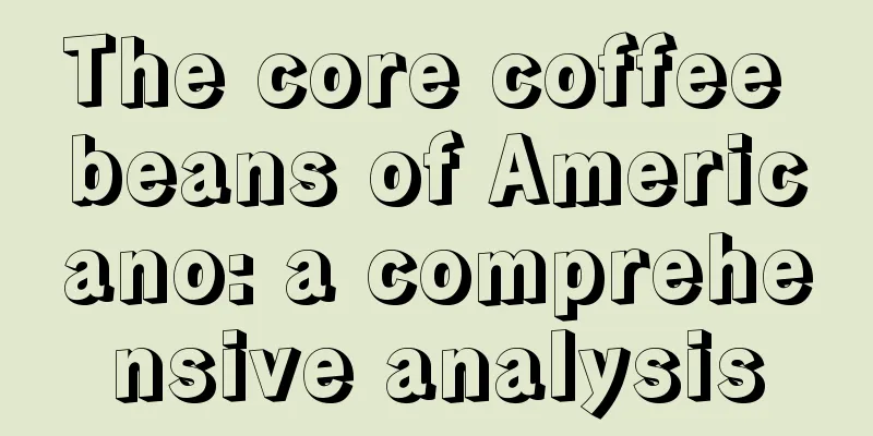 The core coffee beans of Americano: a comprehensive analysis