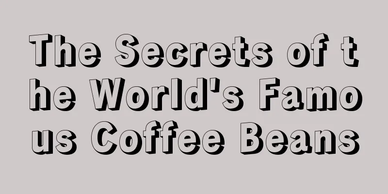 The Secrets of the World's Famous Coffee Beans