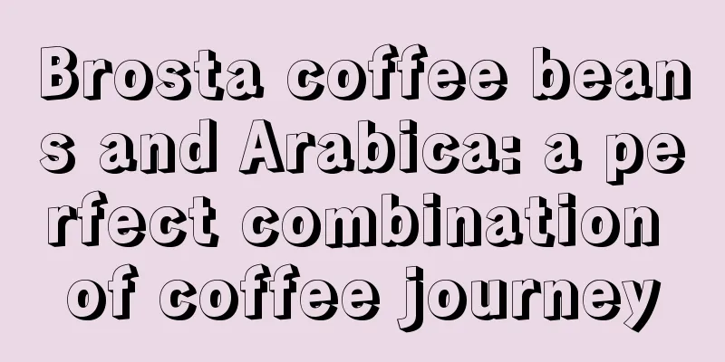 Brosta coffee beans and Arabica: a perfect combination of coffee journey