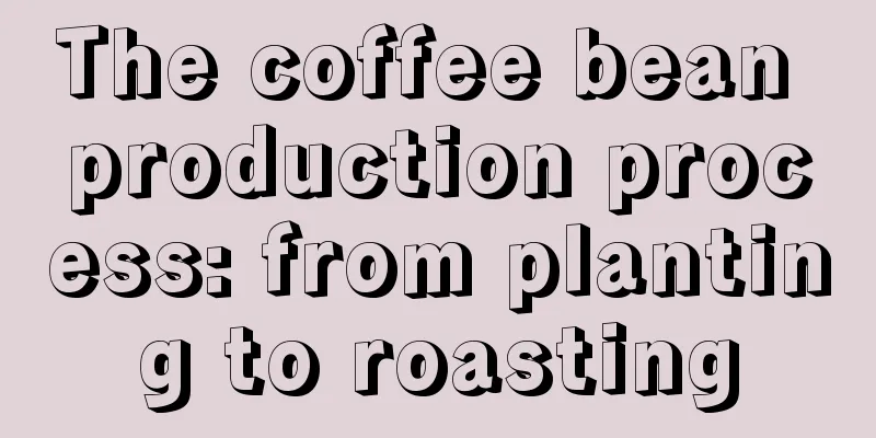 The coffee bean production process: from planting to roasting