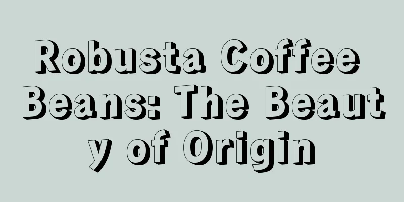 Robusta Coffee Beans: The Beauty of Origin