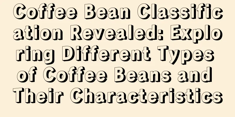 Coffee Bean Classification Revealed: Exploring Different Types of Coffee Beans and Their Characteristics