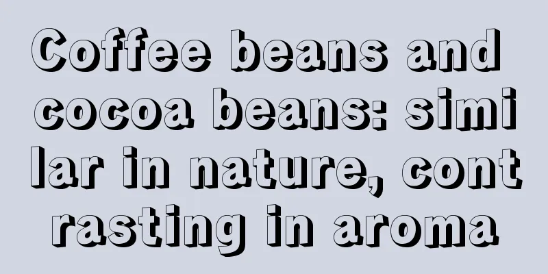 Coffee beans and cocoa beans: similar in nature, contrasting in aroma