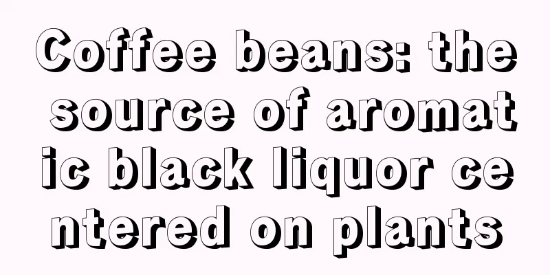 Coffee beans: the source of aromatic black liquor centered on plants