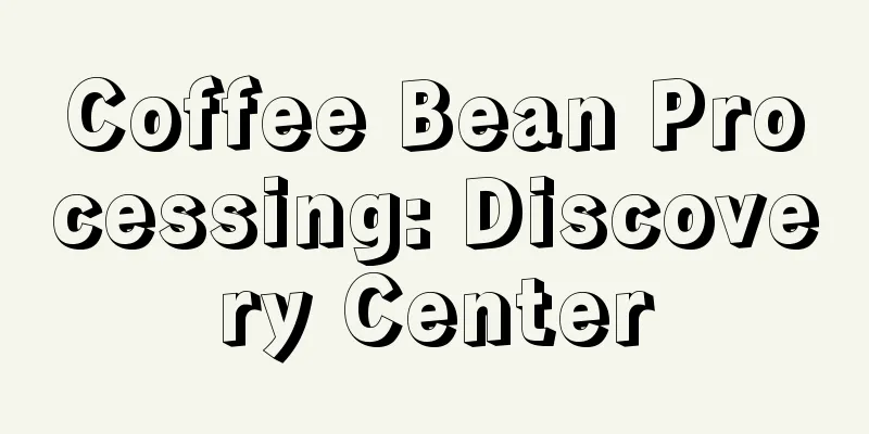 Coffee Bean Processing: Discovery Center