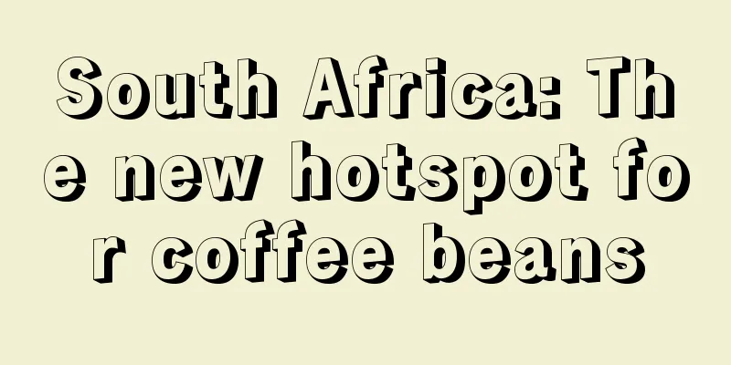 South Africa: The new hotspot for coffee beans