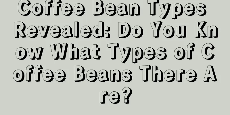 Coffee Bean Types Revealed: Do You Know What Types of Coffee Beans There Are?