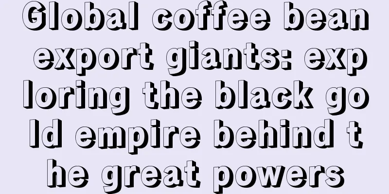 Global coffee bean export giants: exploring the black gold empire behind the great powers