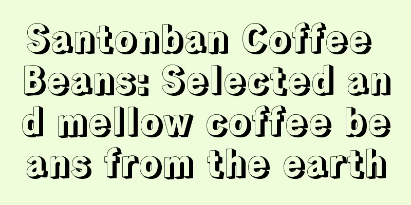 Santonban Coffee Beans: Selected and mellow coffee beans from the earth