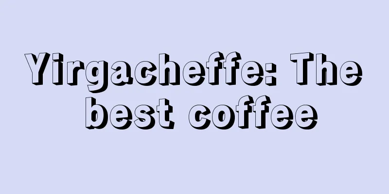 Yirgacheffe: The best coffee