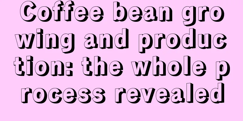 Coffee bean growing and production: the whole process revealed