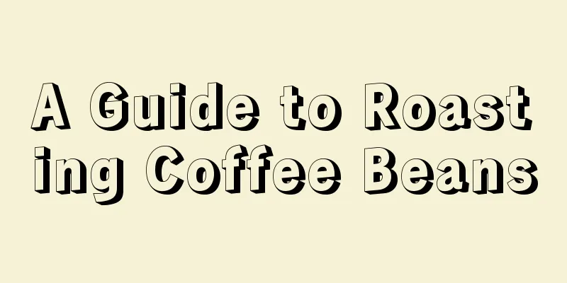 A Guide to Roasting Coffee Beans