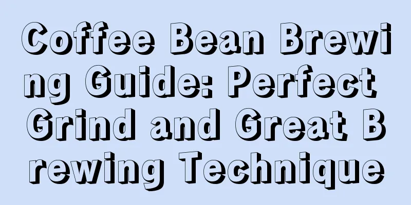 Coffee Bean Brewing Guide: Perfect Grind and Great Brewing Technique