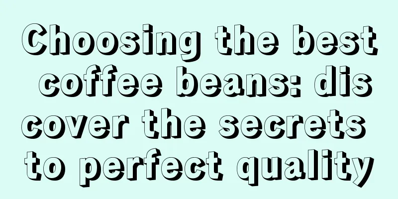 Choosing the best coffee beans: discover the secrets to perfect quality