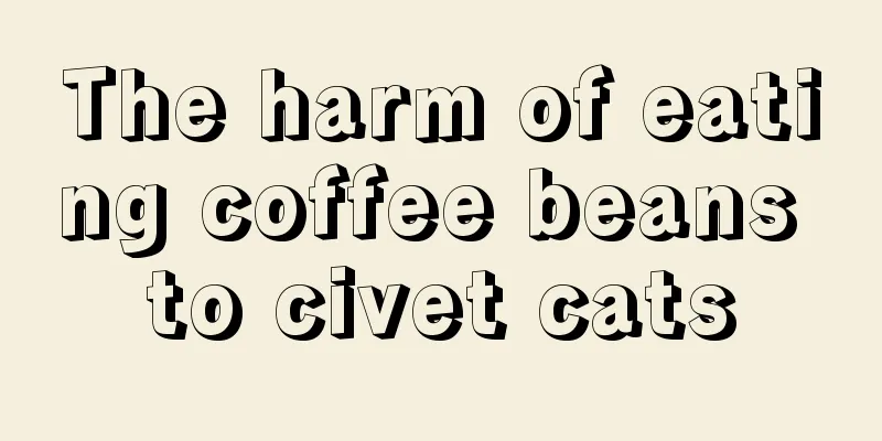 The harm of eating coffee beans to civet cats