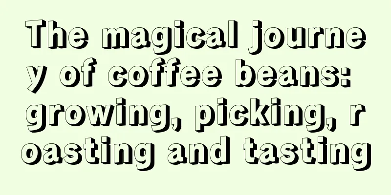 The magical journey of coffee beans: growing, picking, roasting and tasting