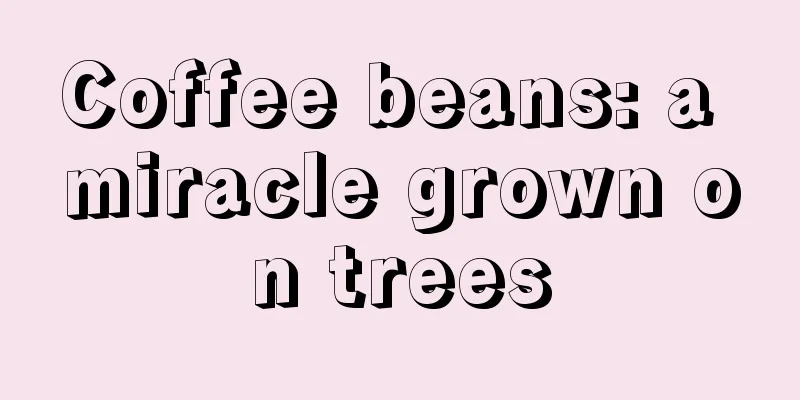 Coffee beans: a miracle grown on trees