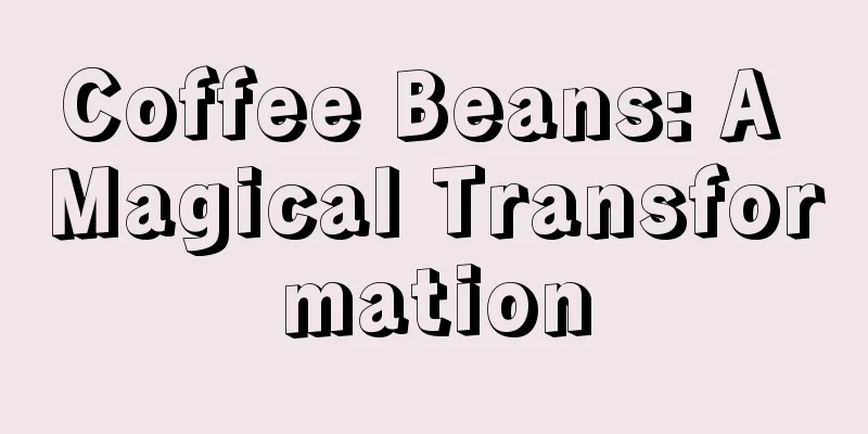 Coffee Beans: A Magical Transformation