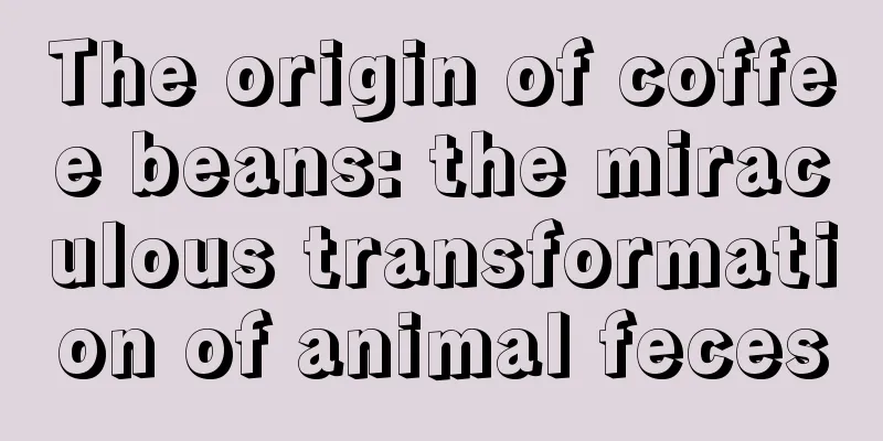 The origin of coffee beans: the miraculous transformation of animal feces