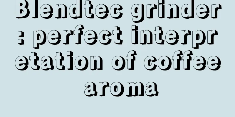 Blendtec grinder: perfect interpretation of coffee aroma