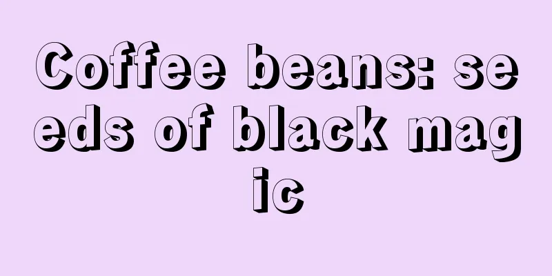 Coffee beans: seeds of black magic