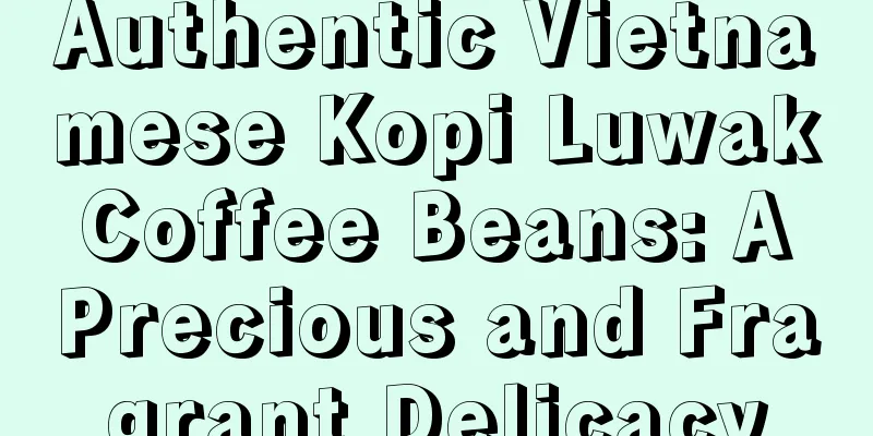 Authentic Vietnamese Kopi Luwak Coffee Beans: A Precious and Fragrant Delicacy