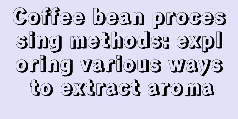 Coffee bean processing methods: exploring various ways to extract aroma