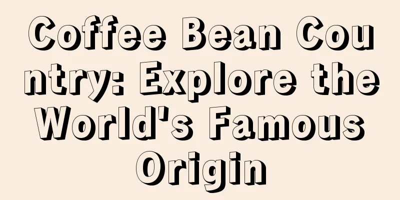 Coffee Bean Country: Explore the World's Famous Origin