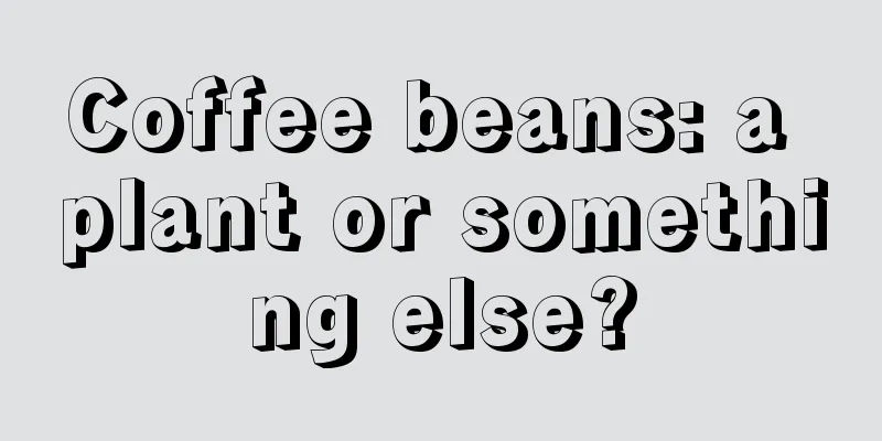 Coffee beans: a plant or something else?