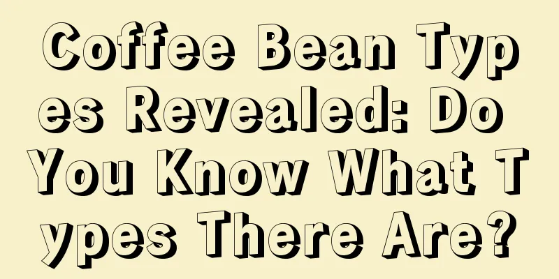 Coffee Bean Types Revealed: Do You Know What Types There Are?