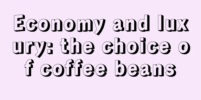 Economy and luxury: the choice of coffee beans