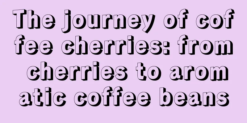 The journey of coffee cherries: from cherries to aromatic coffee beans