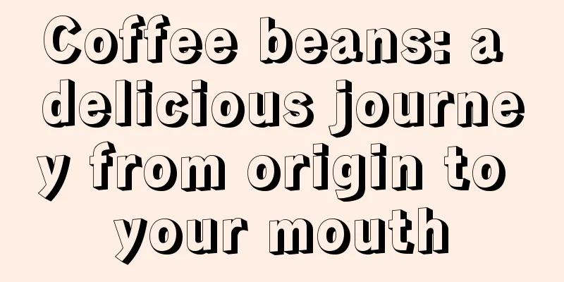 Coffee beans: a delicious journey from origin to your mouth