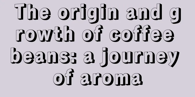 The origin and growth of coffee beans: a journey of aroma