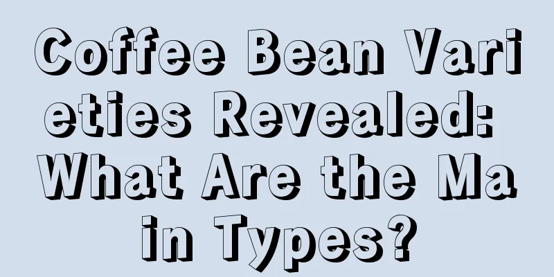 Coffee Bean Varieties Revealed: What Are the Main Types?