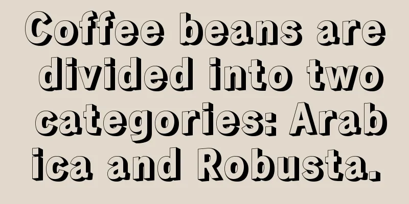 Coffee beans are divided into two categories: Arabica and Robusta.