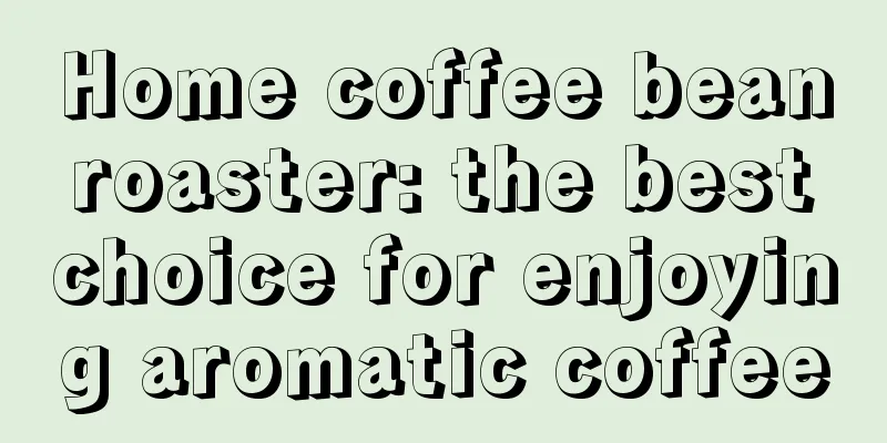 Home coffee bean roaster: the best choice for enjoying aromatic coffee