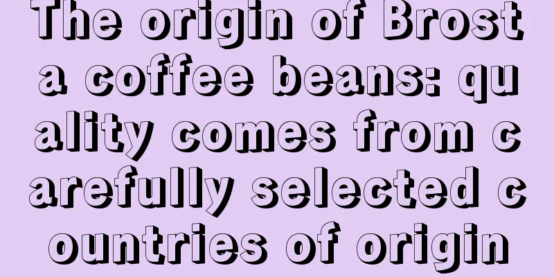 The origin of Brosta coffee beans: quality comes from carefully selected countries of origin